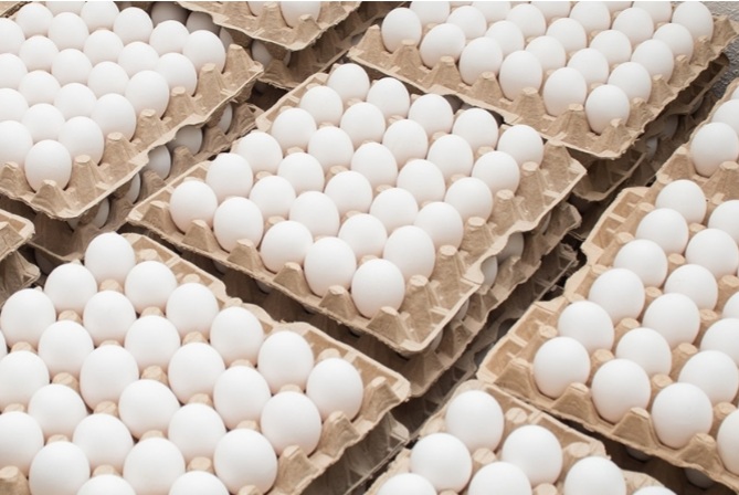1 კვირაში, შესაძლოა, კვერცხი 10-15%-ით გაძვირდეს – მწარმოებლები