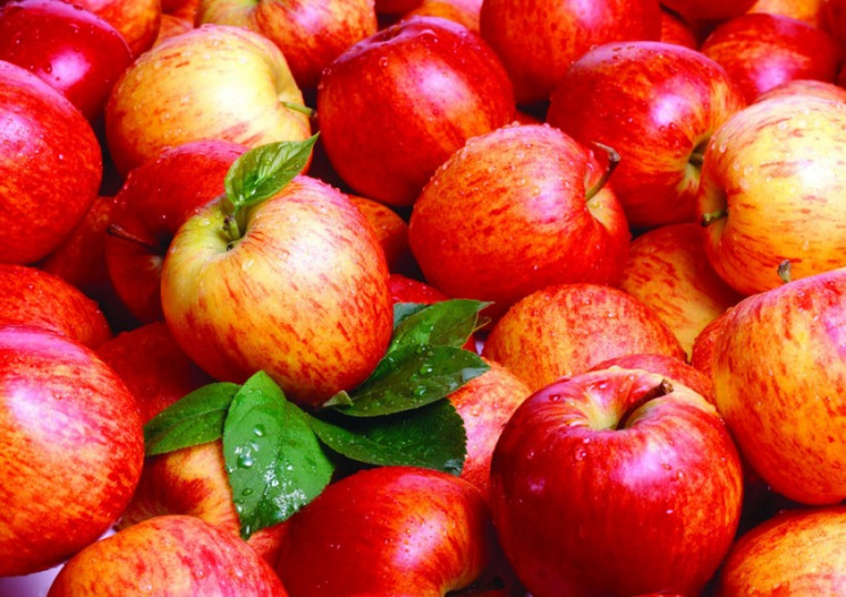 6 თებერვლის მდგომარეობით, საქართველოდან 4 928 ტონა ვაშლის ექსპორტი განხორციელდა