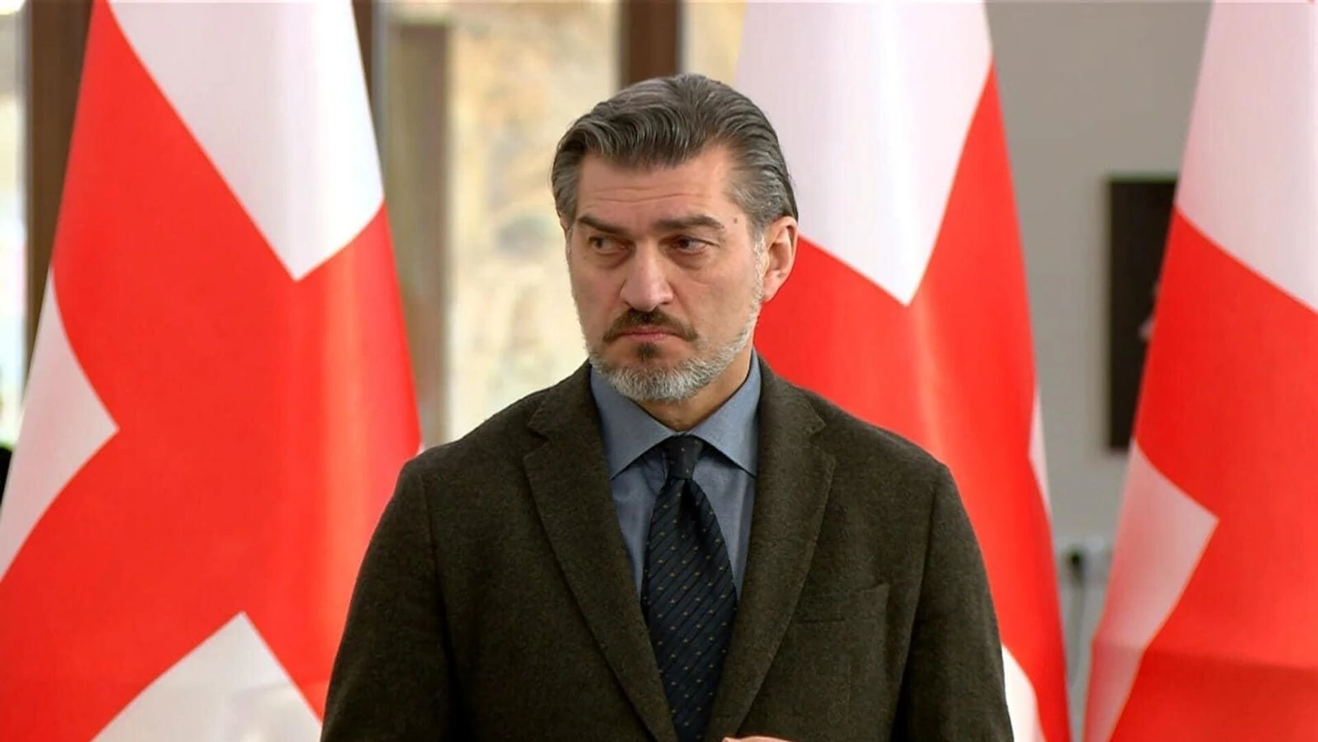 მიხეილ ყაველაშვილი დაკავებულ ოპოზიციონერ პოლიტიკოსებს არჩევნებში მონაწილეობის სანაცვლოდ შეწყალებას სთავაზობს