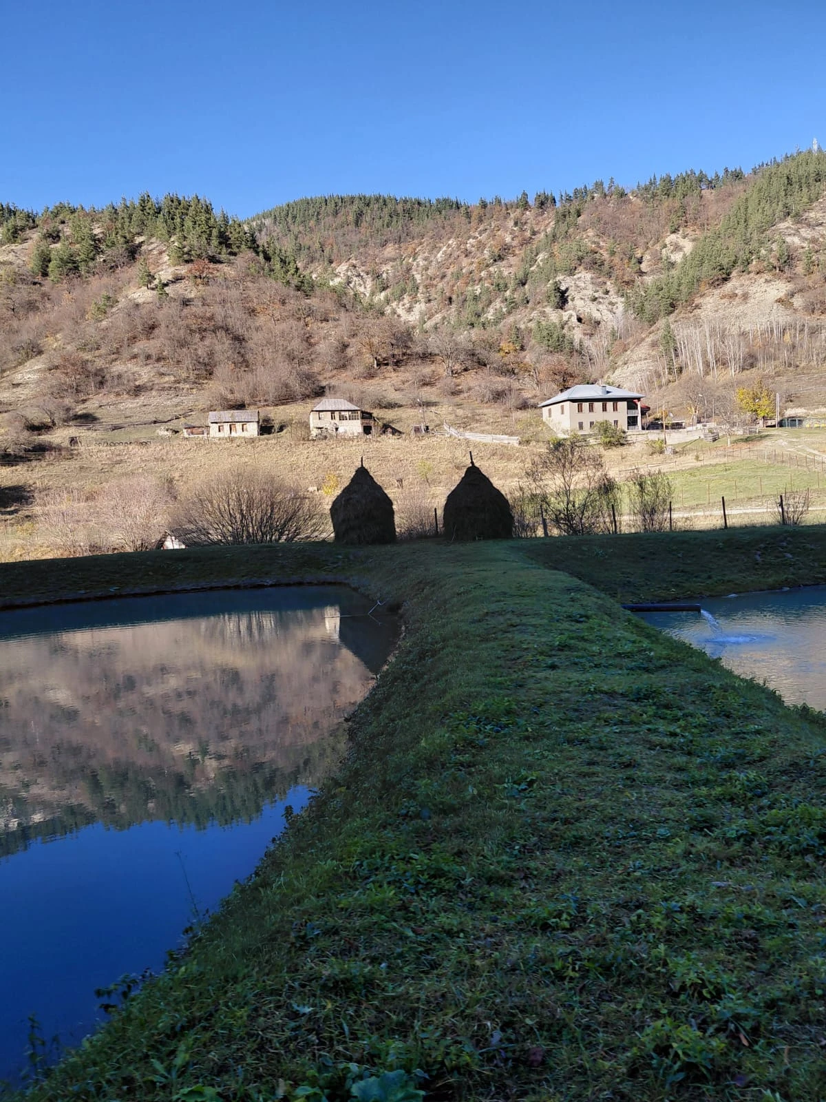 შიდა ქართლის მწვანე მარგალიტი: ტანა-თეძმის დაცული ლანდშაფტი