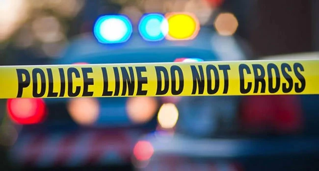 თბილისში, ერთ-ერთ საცხოვრებელ ბინაში მამაკაცი გარდაცვლილი ნახეს. 45 წლამდე ასაკის კაცი კონტაქტზე არ გამოდიოდა და ახლობლებმა ბინაში იპოვეს გარდაცვლილი. როგორც ირკვევა, მამაკაცი თბილისში სამუშაოდ იმყოფებოდა.  ჯერჯერობით უცნობია, რა გახდა გარდაცვალების მიზეზი. ცხედარი უკვე გადმოასვენეს სენაკში.