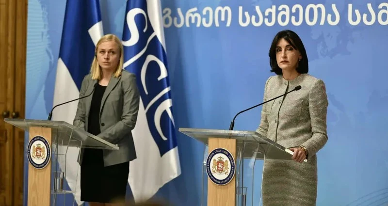 ელინა ვალტონენი - ვგმობთ ოპოზიციის ლიდერების დაკავებებს, რომლებიც არაპროპორციული იურიდიული პროცედურებით ხდება, მთავრობამ უნდა იპოვოს გზა კრიზისიდან გამოსასვლელად