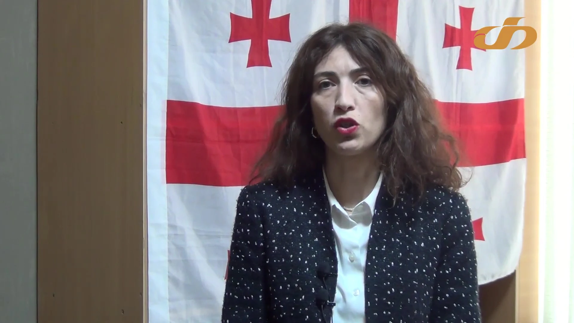 ",,ქართულ ოცნებას“ არ უნდა ქვეყანაში ისმოდეს განსხვავებული, კრიტიკული აზრი" - ნინო დოლიძე