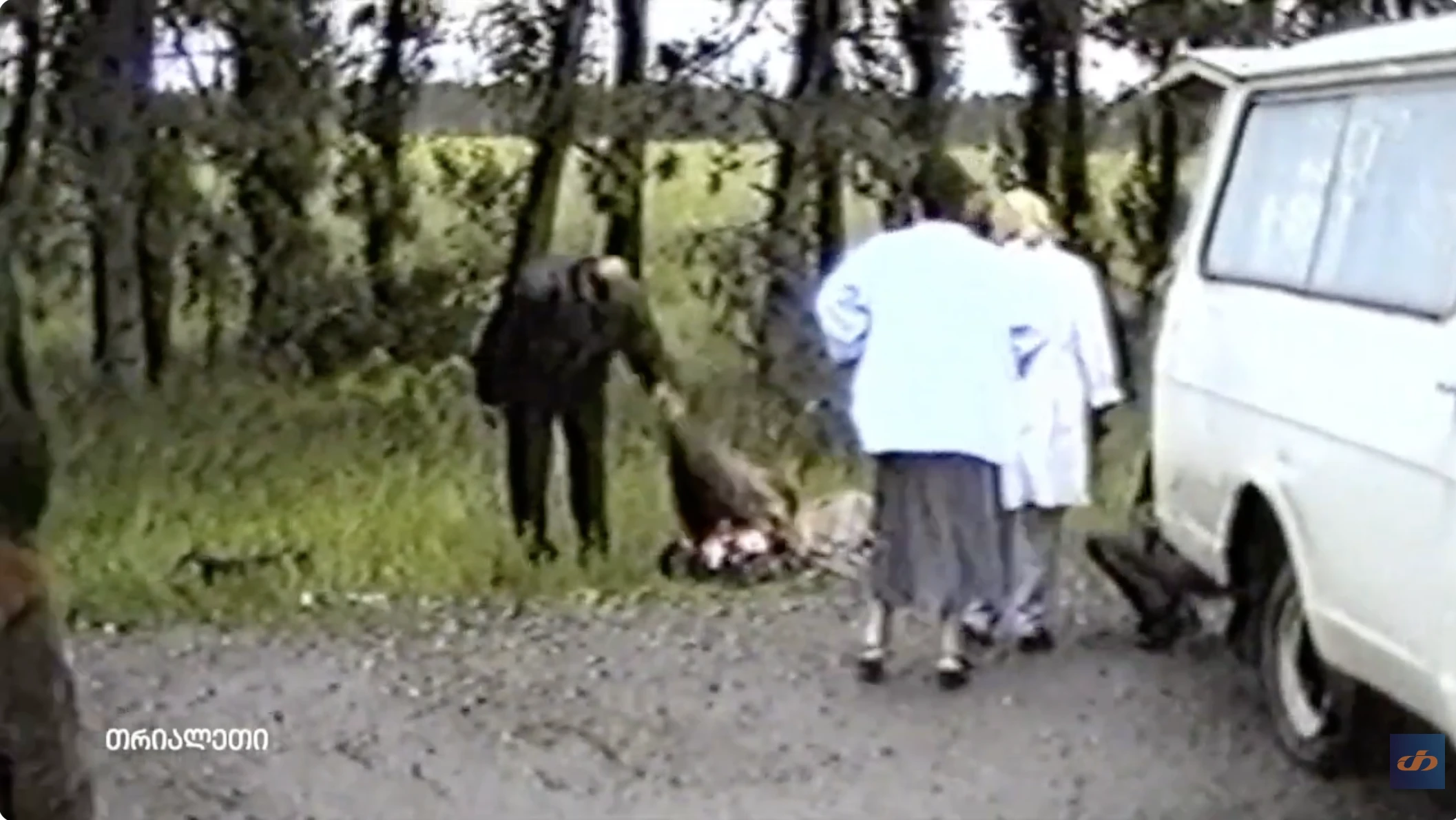 საინფორმაციო.  21.   1999 წ.   "თრიალეთის" არქივიდან.