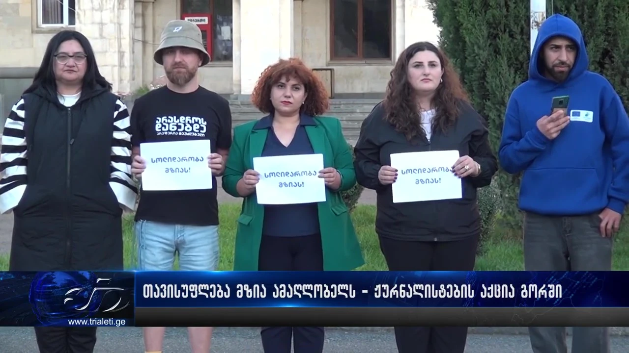 ,,თავისუფლება მზია ამაღლობელს,, - გორში ჟურნალისტებმა აქცია გამართეს