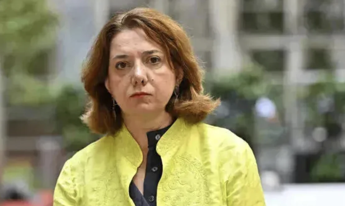 სალომე სამადაშვილი - "ქართული ოცნება" სწრაფად ემსგავსება ჭაობში ჩავარდნილ ადამიანს, რომელიც ყველა ახალი მოძრაობით უფრო ღრმად ჩადის.  მისი განცხადებით, “ქართული ოცნების“ მიერ მიღებული ახალი კანონები აბსურდული შინაარსისაა და მათი სრულად აღსრულება შეუძლებელია.