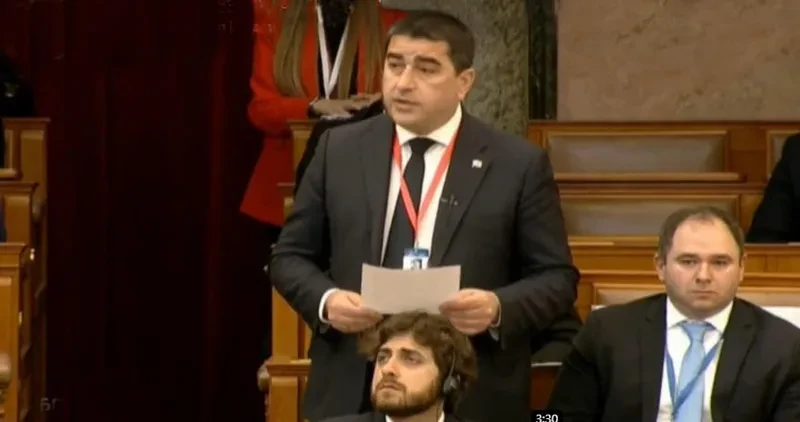 შალვა პაპუაშვილი ბუდაპეშტში კონფერენციაზე - მე წარმოვადგენ ხელისუფლებას, რომელმაც ყველაზე მეტი გააკეთა ევროკავშირში გაწევრიანებისთვის