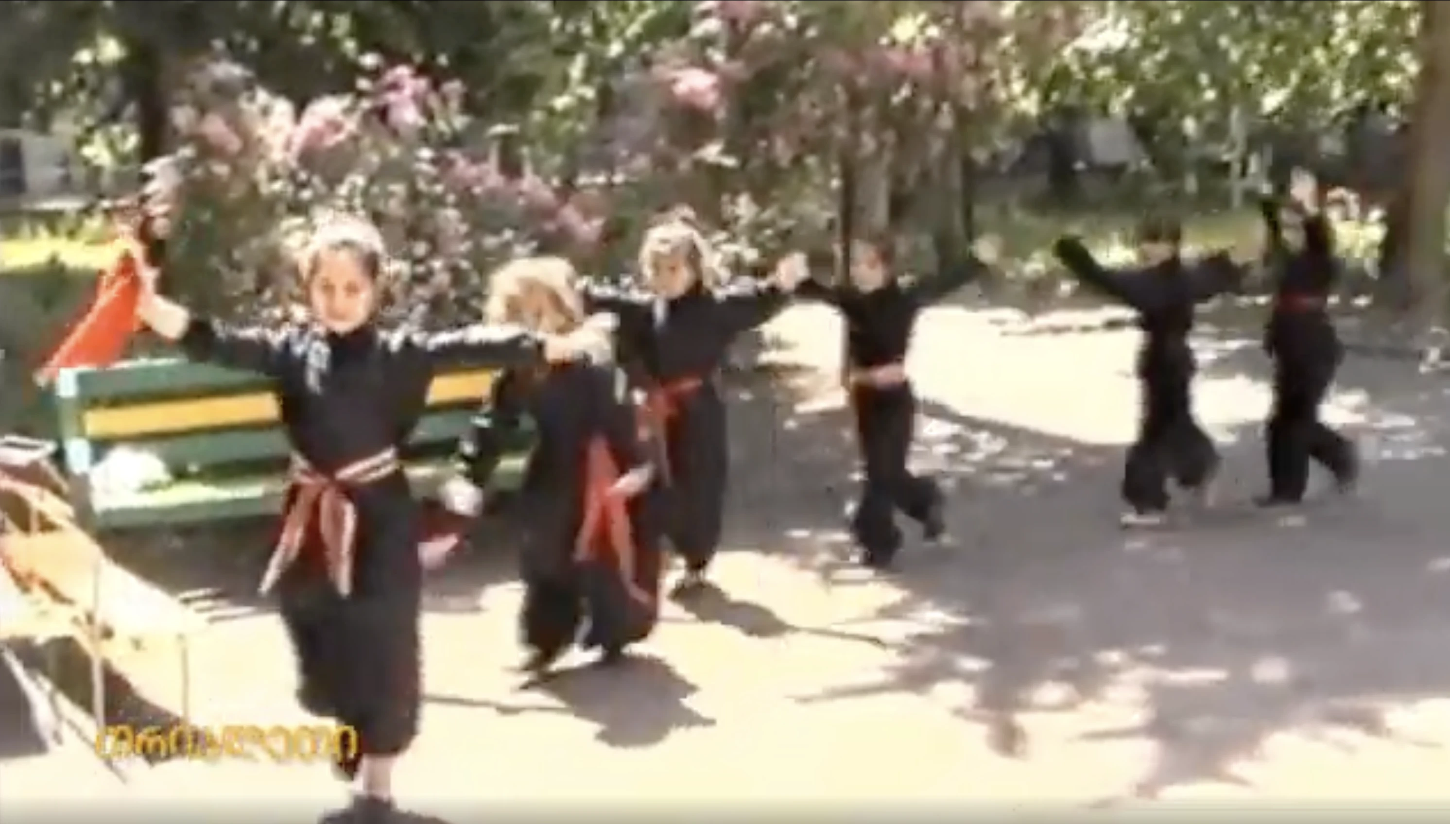 ცეკვა. გადაცემა "გამიცანით".  2002 წ.  გორი.  "თრიალეთის" არქივიდან
