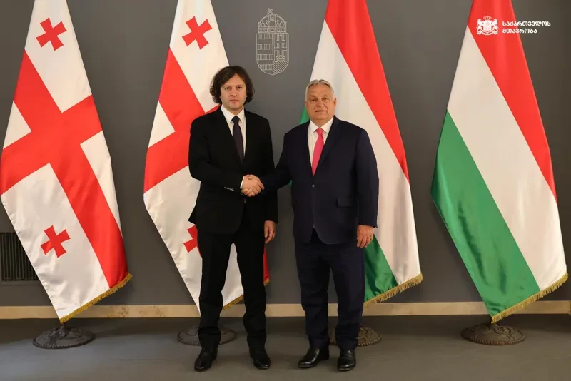 ირაკლი კობახიძე ვიქტორ ორბანს შეხვდა