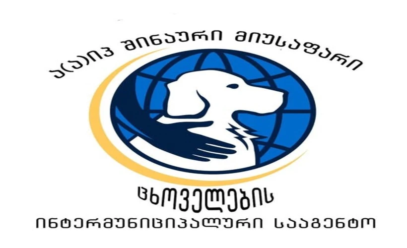 "ჩვენს მიმართ დაფიქსირებულია სისტემური, განმეორებადი და მიზანმიმართული დისკრედიტაციის მცდელობები, რაც გამოიხატება ცრუ ინფორმაციის გავრცელებაში, ფაქტობრივი გარემოებების დამახინჯებაში და საზოგადოების შეცდომაში შეყვანის მცდელობაში." - შიდა ქართლის მიუსაფარ ცხოველთა მართვის სააგენტო განცხადებას ავრცელებს.