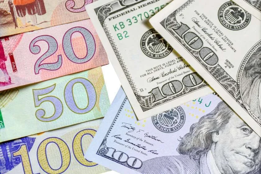 ეროვნული ვალუტა დოლართანაც გამყარდა და ევროსთანაც - კვირის დინამიკა