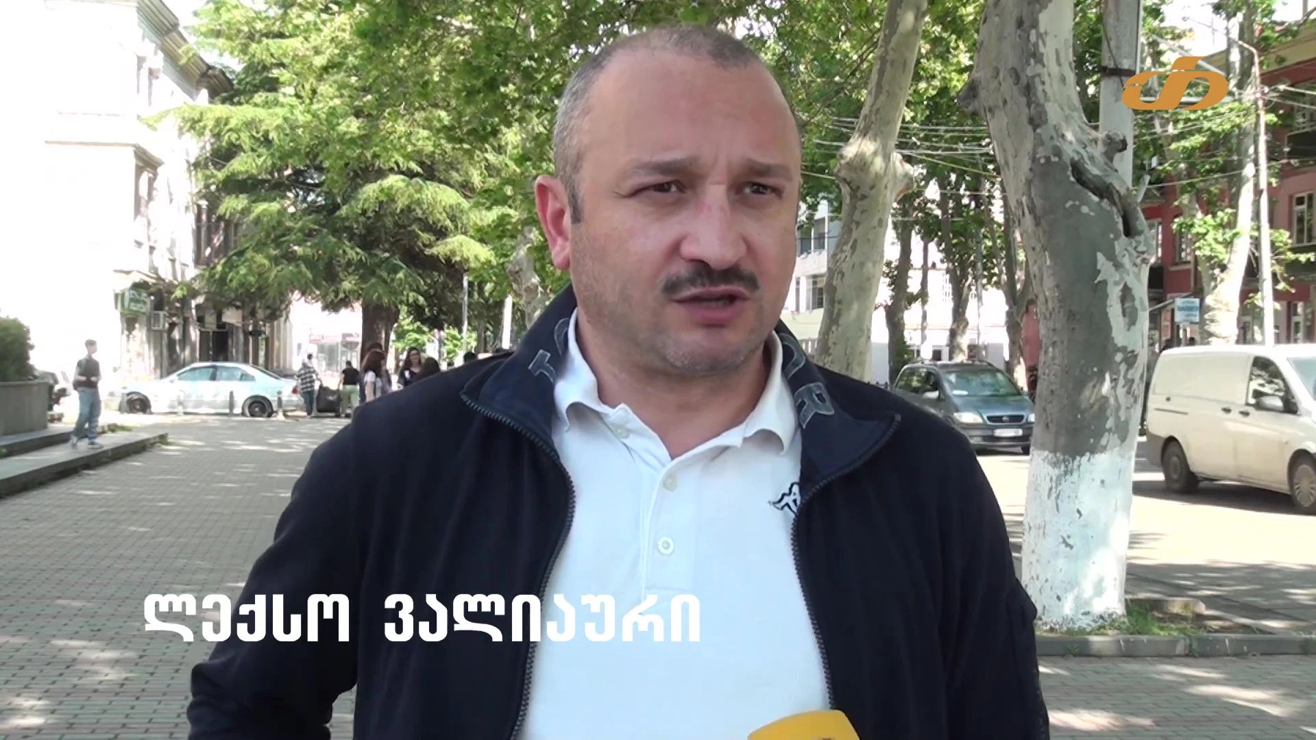 ,,თრიალეთი" არის ამ ქალაქის, ამ რეგიონის ისტორია" - ლექსო ვალიაური