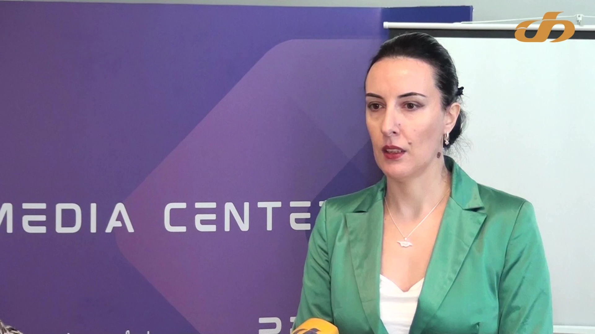 ,,როდესაც კანონის ენით გველაპარაკებიან ჩნდება კითხვა, რის მიხედვით არჩევნენ კომპანიებს თუ ორგანიზაციებს, ვინც უნდა დააყადაღო და ჯარიმა დაადონ ან ვის აძლევენ საშუალებას, რომ გააგრძელონ ფუნქციონირება?“- ნინო ჩიბჩიური