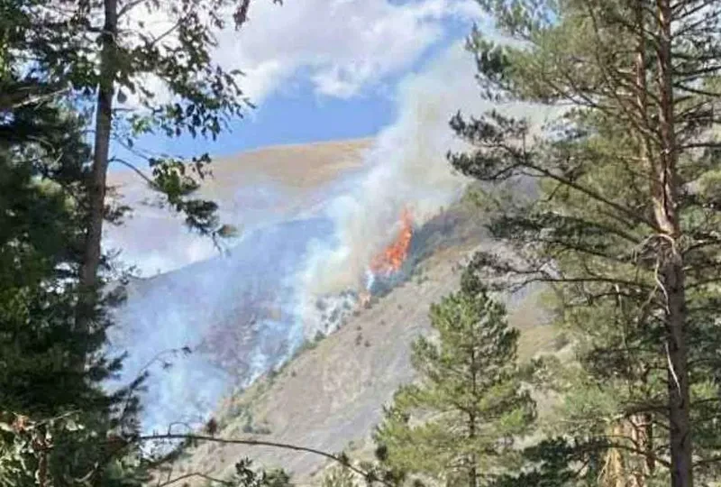 თუშეთში, წოვათის ხეობაში ხანძარია