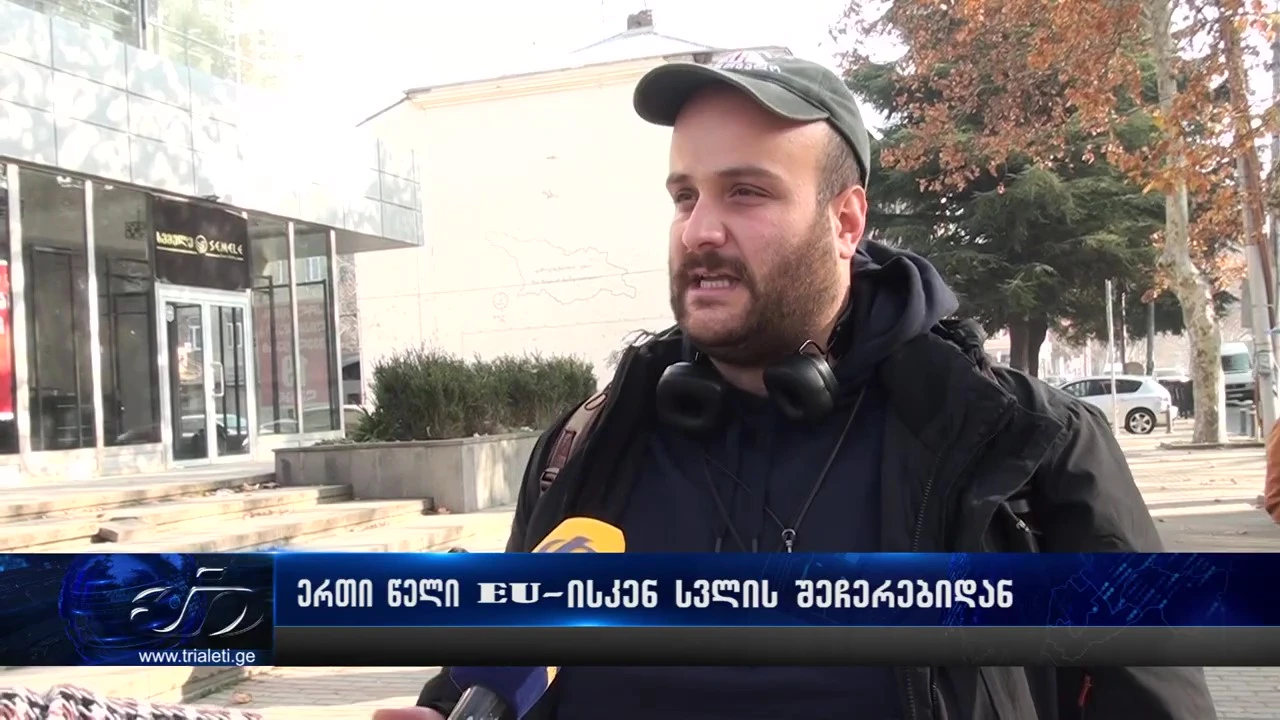 ერთი წელი EU-ისკენ სვლის შეჩერებიდან - შეფასებები გორში