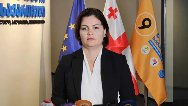 ანა ნაცვლიშვილმა „ლელო - ძლიერი საქართველოს“ პოლიტსაბჭო დატოვა