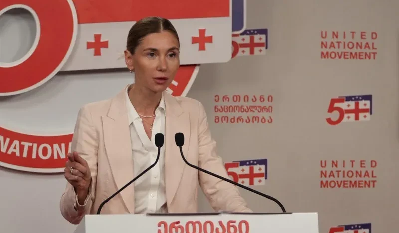 თინა ბოკუჩავა რვა პარტიის ფორმატში მყოფ პარტიებს მიმართავს, თამარ ჩერგოლეიშვილთან ურთიერთობის დასრულების შესახებ გადაწყვეტილება მიიღონ