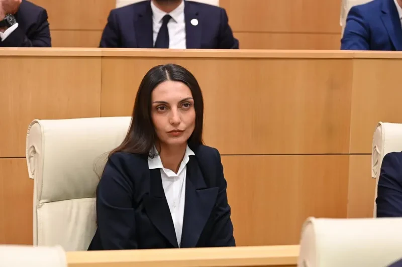 ვიკა ფილფანი უმრავლესობას „შეკრებებისა და მანიფესტაციების შესახებ“ კანონში დაგეგმილ ცვლილებზე - საქართველოში მოქმედ არც ერთ რეჟიმს არ უკადრია მსგავსი რამ