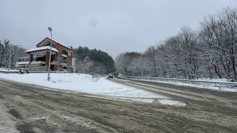 უამინდობამ კახეთში პრობლემები შექმნა. ინტენსიური თოვისა და ყინულის გამო ვაზიანი-გომბორი- თელავის საავტომობილო გზაზე მოძრაობა შეზღუდულია და გადაადგილება დაშვებულია მხოლოდ მაღალი გამავლობის ავტომობილებით. რამდენიმე მუნიციპალიტეტში, საზოგადოებრივმა ტრანსპორტმა მუშაობის დაწყება ვერ შეძლო. ამ დროისთვის გზებზე იყრება ტექნიკური მარილი და იწმინდება.