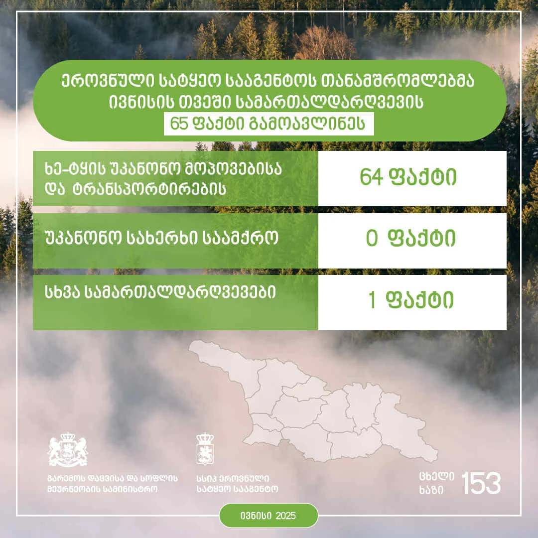 ეროვნული სატყეო სააგენტოს თანამშრომლებმა, მიმდინარე წლის ივნისის თვეში, სამართალდარღვევის 65 ფაქტი გამოავლინეს