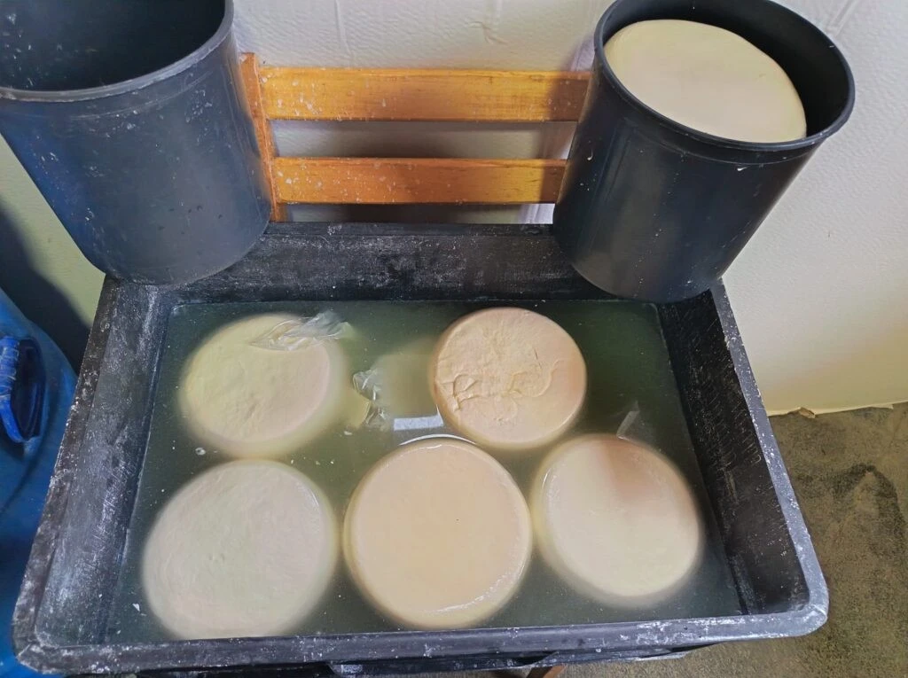 სურსათის ეროვნული სააგენტოს უფლებამოსილმა პირებმა ქვემო ქართლში, სამეგრელოსა და იმერეთში რძის გადამამუშავებელი არარეგისტრირებული საწარმოები გამოავლინეს.