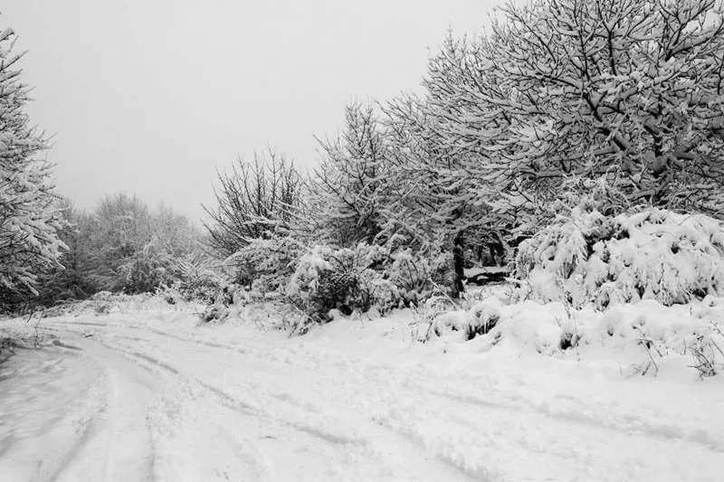 საავტომობილო გზების დეპარტამენტი: დიდთოვლობის გამო,  ქუთაისი(საღორია)-ბაღდათი-აბასთუმანი-ბენარას საავტომობილო გზის კმ50-კმ89 (საირმე-აბასთუმანი) მონაკვეთზე და წყალთაშუა-ზეკარის საავტომობილო გზის კმ11-კმ27 მონაკვეთზე ყველა სახის ავტოტრანსპორტის მოძრაობა იზღუდება.