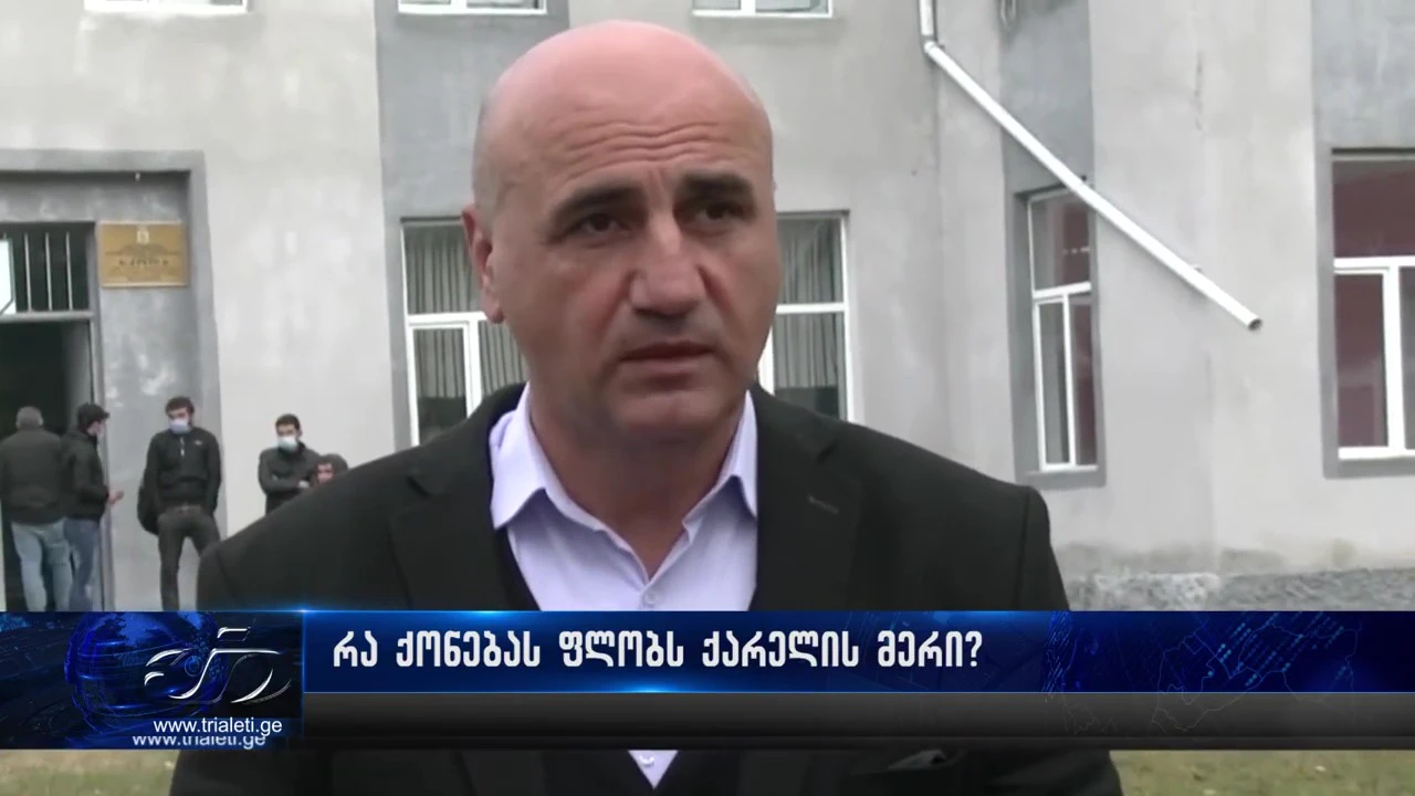 რა ქონებას ფლობს ქარელის მერი დეკლარაციის მიხედვით?