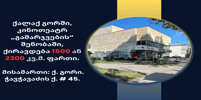 გამარჯვების შიდა ბანერი