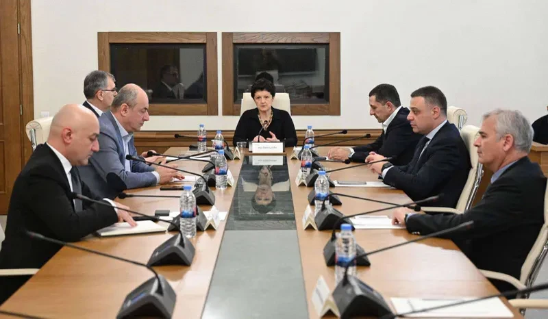 პარლამენტი საგამოძიებო კომისიას უფლებამოსილების ვადას კიდევ ერთი თვით - 5 ივლისამდე გაუგრძელებს