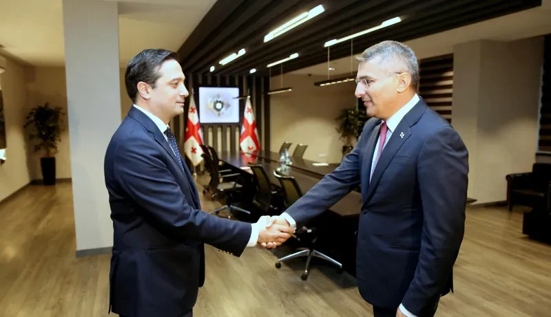 მამუკა მდინარაძე სახალხო დამცველს შეხვდა