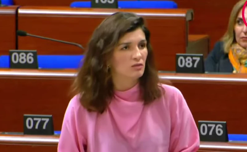საბინა ჩუდიჩი - საქართველოში დღეს არ არსებობს დემოკრატიული პრაქტიკის სეგმენტი, ნული მტკიცებულება გვაქვს, რომ თვითმმართველობის არჩევნები შეიძლება თავისუფალი და სამართლიანი იყოს