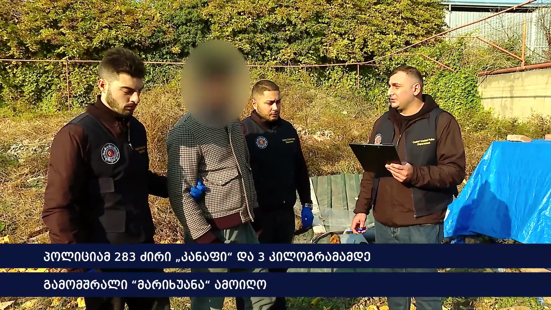 პოლიციამ 283 ძირი „კანაფი“ და 3 კილოგრამამდე „მარიხუანა“ ამოიღო - დაკავებულია პირი, რომელსაც მიწის სიღრმეში მოწყობილი ჰქონდა სპეციალური სათბური