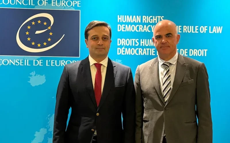 საქართველოს სახალხო დამცველი ევროპის საბჭოს გენერალურ მდივანს შეხვდა