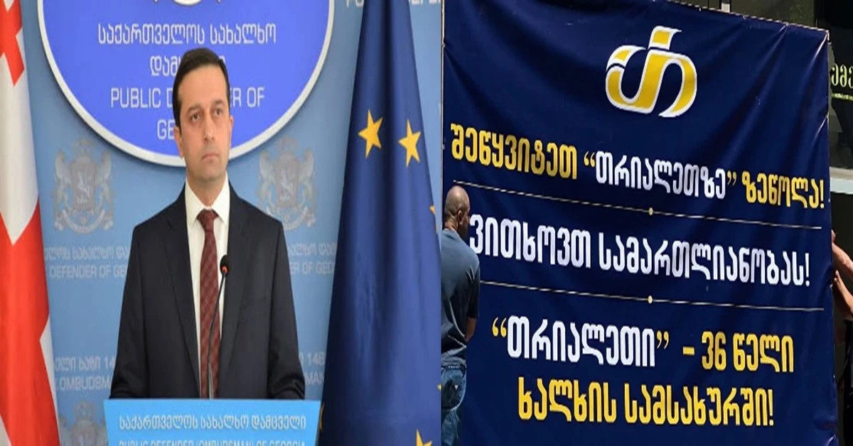 მიმართვა საქართველოს სახალხო დამცველს, ლევან იოსელიანს
