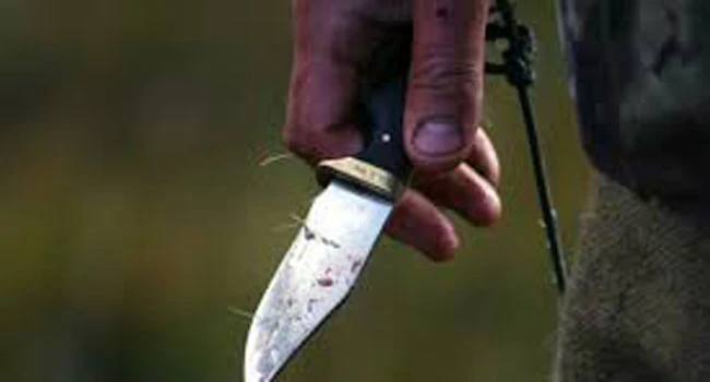 კახეთის პოლიციის დეპარტამენტის გურჯაანის რაიონული სამმართველოს თანამშრომლებმა, 1973 წელს დაბადებული, წარსულში ნასამართლევი გ.ყ. განზრახ მკვლელობის მცდელობის ბრალდებით ცხელ კვალზე დააკავეს, _ ინფორმაციას შსს-ს პრესსამსახური ავრცელებს.  დანაშაული  15 წლამდე ვადით თავისუფლების აღკვეთას ითვალისწინებს.