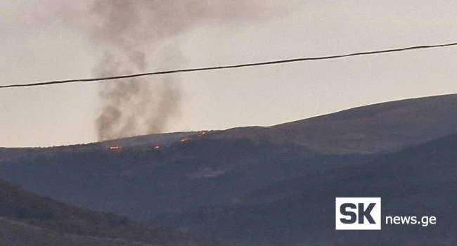 ახალციხის მახლობლად ტყეში ხანძარია