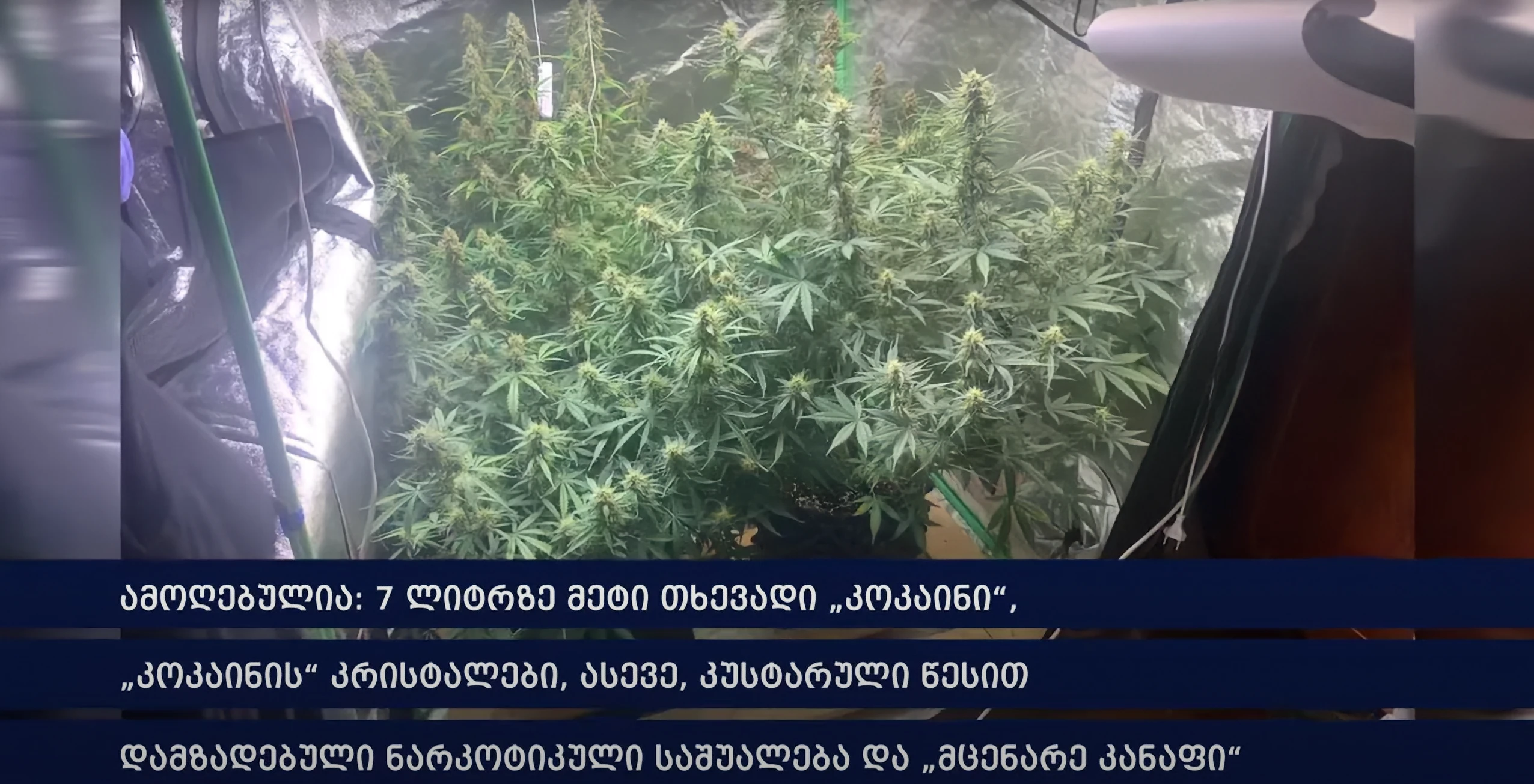 პოლიციამ ნარკოდანაშაულის ბრალდებით რუსეთის ფედერაციის 2 მოქალაქე დააკავა