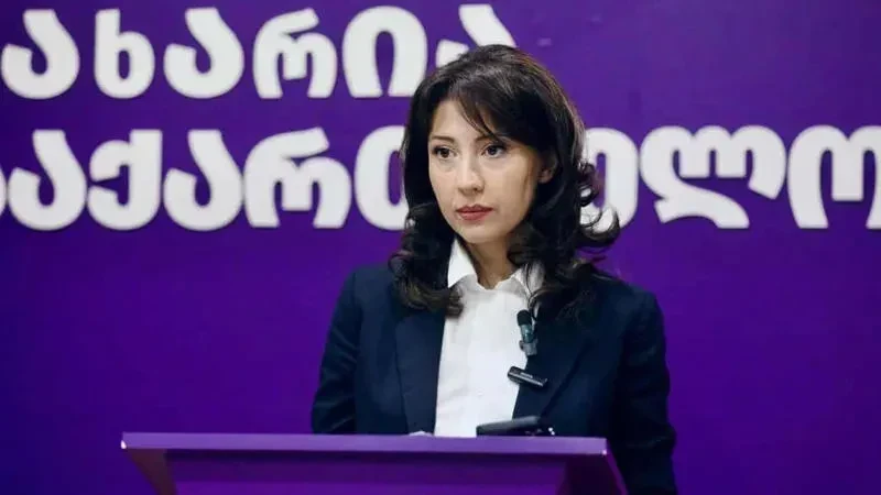 ტატა ხვედელიანი - გიორგი გახარიას წინააღმდეგ კიდევ ბევრ აბსურდულ ბრალდებას ვნახავთ