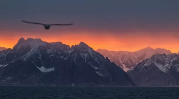 Economist - ტრამპის ადმინისტრაციას ორი მიზანი აქვს: გრენლანდიასა და დანიას შორის უთანხმოების გაღვივება და დანიის გვერდის ავლით, გრენლანდიის ხელმძღვანელობასთან შეთანხმების დადება