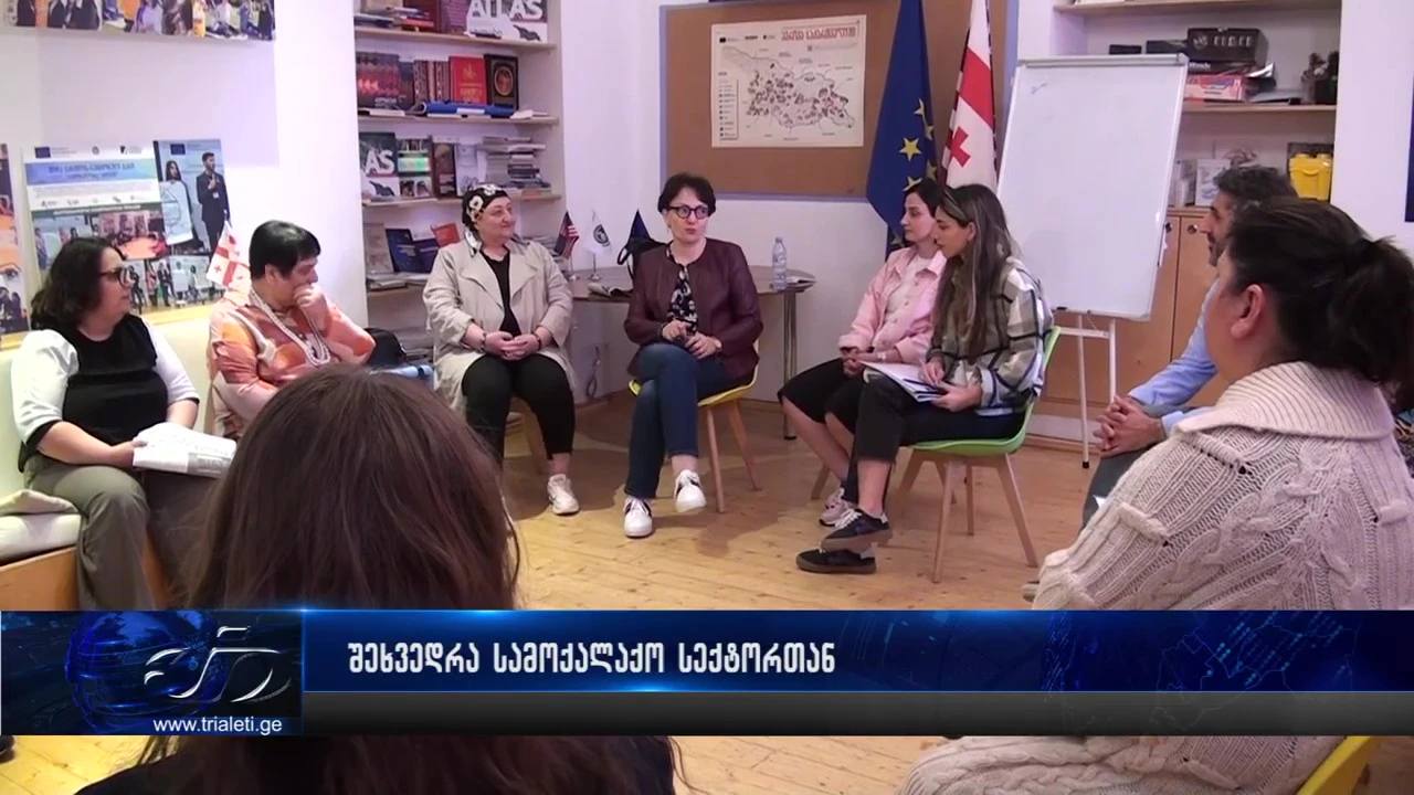 სამოქალაქო იდეის თავმდჯომარე თინა ხიდაშელი გორში არასამთავრობო ორგანიზაციების წარმომადგენლებს შეხვდა