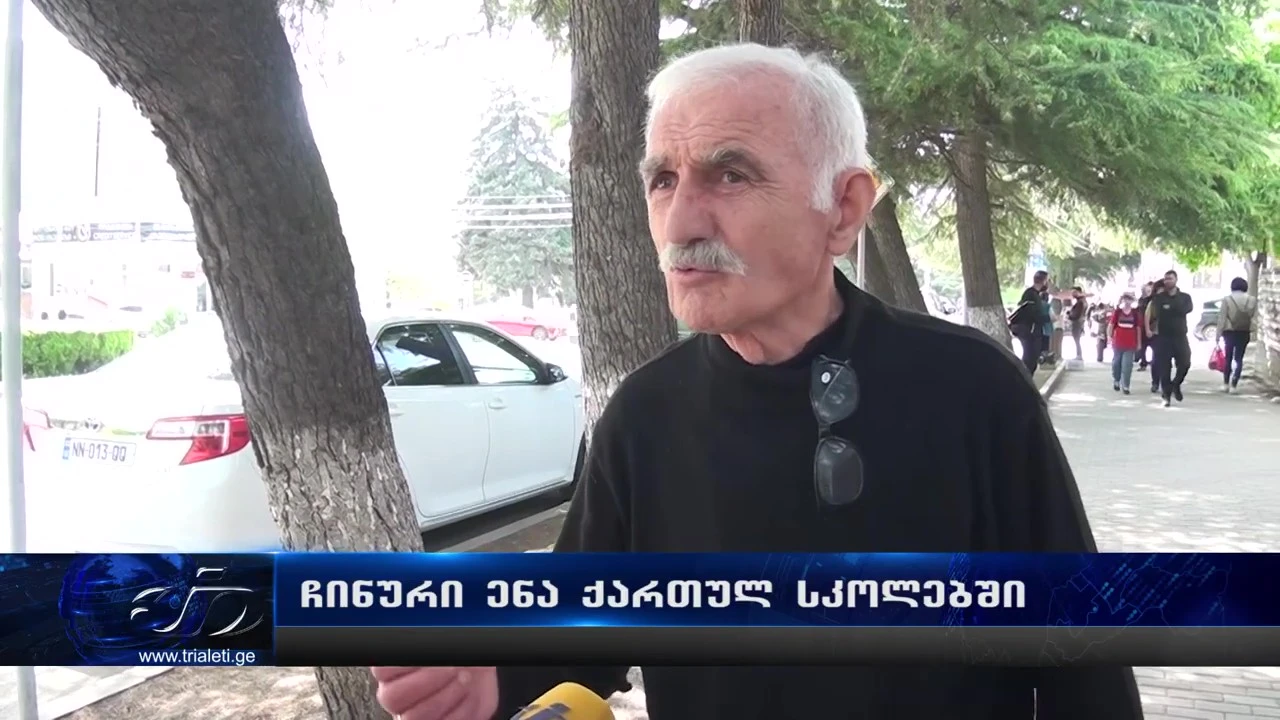 ჩინური ენა ქართულ სკოლებში