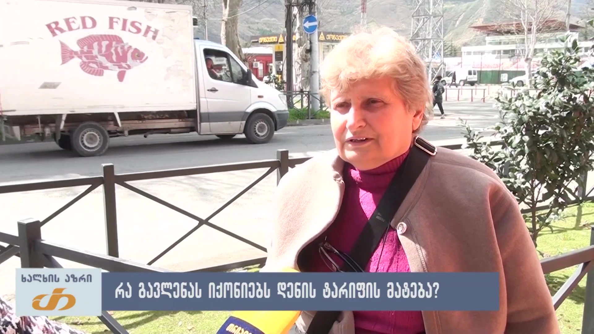 🎤 რა გავლენას იქონიებს დენის ტარიფის მატება? - ხალხის აზრი