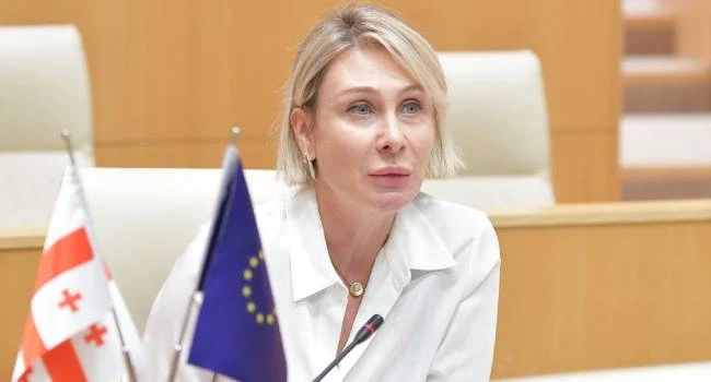 ნინო წილოსანი: “გახარია იმდენად უტიფარია, რომ შეუძლია, სხვა ქვეყნის ბინადარი იყოს და ამ ქვეყნის მოსახლეობას ხმებს სთხოვდეს”