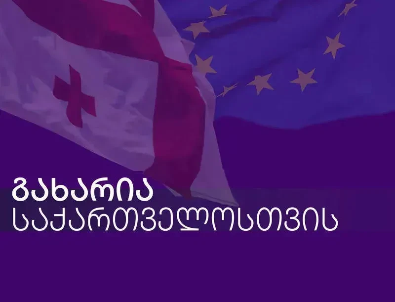 თავი არ უნდა მოვიტყუოთ, რეჟიმის სისუსტე არ ნიშნავს მის სწრაფ დამარცხებას. ჩვენი ბრძოლა დემოკრატიული სახელმწიფოს დასაბრუნებლად ხანგრძლივია და მოითხოვს მოთმინებას, გონივრულ ნაბიჯებს და მშვიდობიან წინააღმდეგობას. „ქართული ოცნების“ ძალაუფლება ძალადობაზე და ეკონომიკურ ზეწოლასა  დამყარებული. - განცხადებას პარტია „გახარია-საქართველოსთვის“ ავრცელებს.
