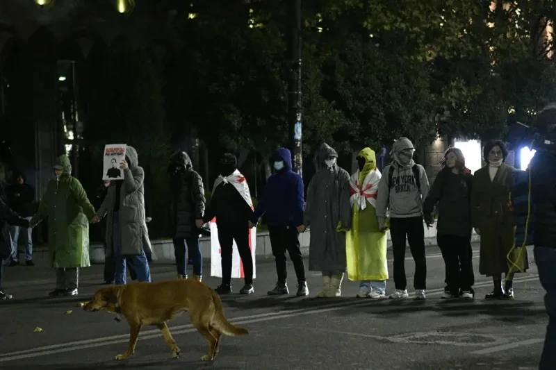 რუსთაველის გამზირის გადაკეტვისთვის დაკავებულ 70 წლის ვაჟა ბერიშვილის 1-დღიანი, ბექა აგულაშვილს 5-დღიანი, ანუკა გამსახურდიას კი 2-დღიანი ადმინისტრაციული პატიმრობა შეეფარდა