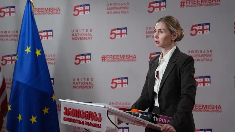 თინა ბოკუჩავა - „ნაციონალური მოძრაობა“ ყველაფერს აკეთებს იმისთვის, რომ ვიზალიბერალიზაციის დროებითი შეჩერების მექანიზმი ამოქმედდეს არა საქართველოს მოქალაქეების, არამედ მხოლოდ რეჟიმის წარმომადგენლების მიმართ