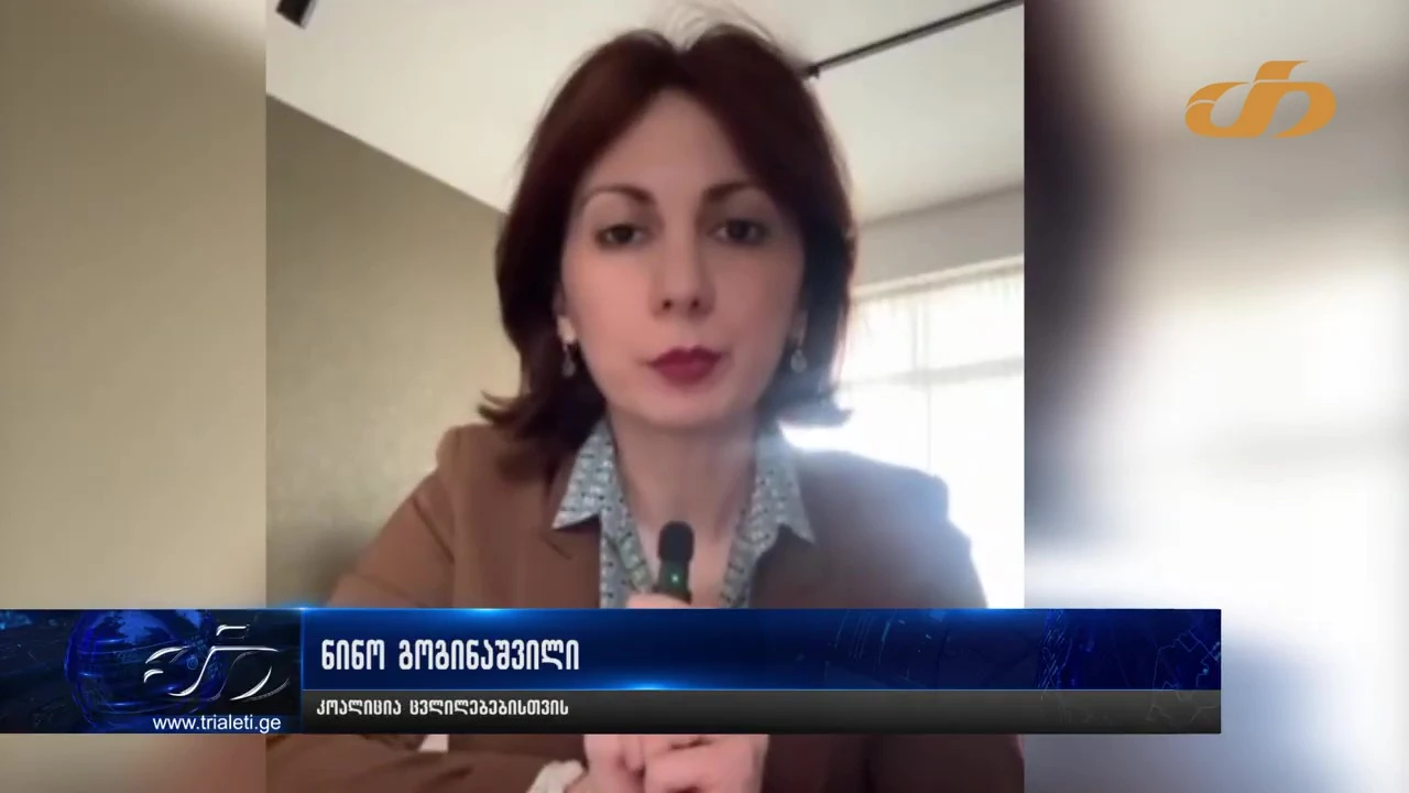 ტელეკომპანია ,,თრიალეთი” ქართული ოცნების რეპრესიების მორიგი სამიზნე გახდა - ნინო გოგინაშვილი