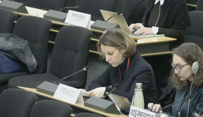 გაათავისუფლეთ პოლიტიკური მიზეზებით დაკავებული ყველა პირი, - ამის შესახებ გაერო-ს ჟენევის ოფისში საფრანგეთის მუდმივი წარმომადგენლის მოადგილემ, კლერ ტუოდემ გაერო-ს ადამიანის უფლებების საბჭოს უნივერსალური პერიოდული მიმოხილვის (UPR) 51-ე სესიის ფარგლებში გამართული საქართველოს ეროვნული ანგარიშის განხილვისას განაცხადა.