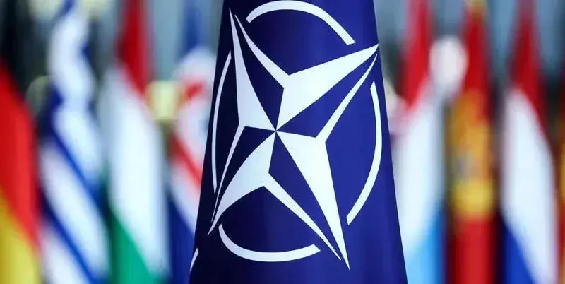 ნატო-ს წევრი რვა ქვეყანა ერთობლივ განცხადებას ავრცელებს. განცხადებაში ნათქვამია, რომ „ტარიფების მუქარა ძირს უთხრის ტრანსატლანტიკურ ურთიერთობებს და სახიფათო დაღმავალი სპირალის საფრთხეს ქმნის". წერილში ქვეყნები კიდევ ერთხელ ადასტურებენ, რომ ისინი „სრულ სოლიდარობას უცხადებენ დანიის სამეფოს და გრენლანდიელ ხალხს“.