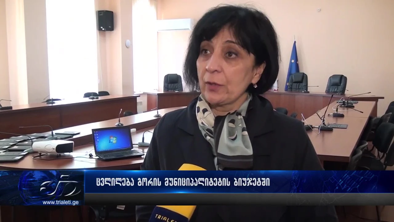 ცვლილება გორის ბიუჯეტში, ა(ა)იპებში ხელფასების სუბსიდირება მოხდება